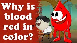 Why is blood red in color  aumsum kids science education children [upl. by Ellertnom]