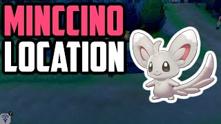 Where to Find Minccino  Pokemon Sword amp Shield [upl. by Akinam667]