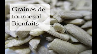 GRAINES DE TOURNESOL  LES 3 BIENFAITS [upl. by Eimmac]