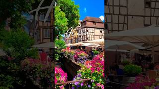 Alsace Travel Guide Exploring the Picturesque Beauty of Frances Charming Region shorts [upl. by Archibaldo]