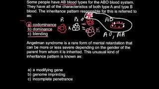 ABO and Angelman syndrome questions [upl. by Merkley210]