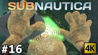 Subnautica 16  SEA EMPEROR LEVIATHAN BABIES and Hatching Enzymes 4k [upl. by Martelle378]