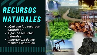 Recursos Naturales  Videos Educativos Para Niños [upl. by Petracca]