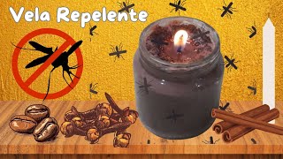 Cómo Hacer una Vela Repelente de Mosquitos con Café Clavo y Canela  DIY Antimosquitos Natural [upl. by Vinia576]