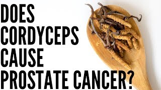 Does Cordyceps Cause Prostate Cancer to Grow [upl. by Nita]