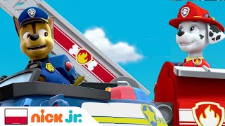 Psi Patrol  Pieski ratują sytuację 20minutowa kompilacja  Nick Jr [upl. by Angie38]