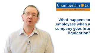 What happens to employees when a company goes into liquidation [upl. by Onileba878]