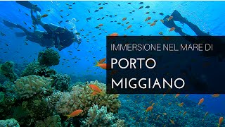 IMMERSIONE NEL MARE CRISTALLINO DI PORTO MIGGIANO SALENTO  REAL AUDIO [upl. by Jarl]