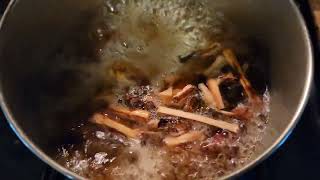 How to Make Sassafras Tea Concentrate [upl. by Henryson]