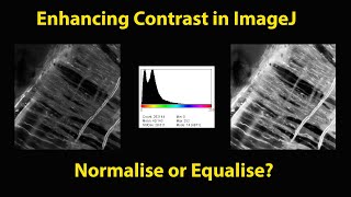 ImageJ Contrast Enhancement [upl. by Htinnek]