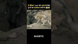 This is how soldiers used dogs in war shorts shortvideo [upl. by Annav241]