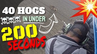 UNLEASHED 40 HOGS IN 200 SECONDS  Pigman Hits the Motherload of Aerial Pork Insanity [upl. by Eittol]