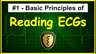 ECG Basics  12Lead ECG  Leads and Electrodes  Limb and Chest Precordial Leads [upl. by Yznil159]