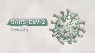 La biología del SARSCoV2 Evolución  Video HHMI BioInteractive [upl. by Yelhsa228]