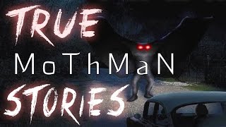 4 Chilling True Mothman Encounters [upl. by Leora453]