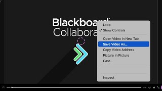 How To Download Blackboard Collaborate Videos 2 Options To Choose From [upl. by Celene852]