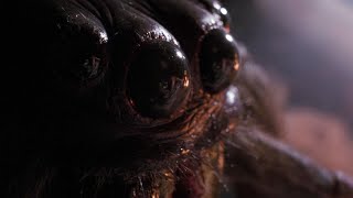 Arachnophobia Full Movie Facts amp Review in English  Jeff Daniels  Julian Sands [upl. by Bilski]