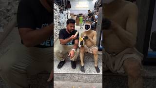 BANANA CHALLENGE with MONKEY😱 GONE WRONG😂🔥 shorts funny eating [upl. by Dianne]