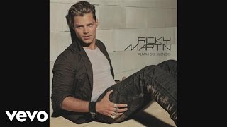 Ricky Martin  Tal Vez Audio [upl. by Balsam]