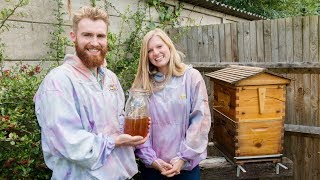 Daisy amp Cameron Flow Hive beekeeping and honey harvesting in the UK [upl. by Nylasor]