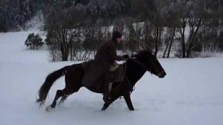 Kabardiner  Reiten im Tiefschnee [upl. by Adnerol]