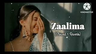 Zaalima SlowedReverb Arijit Singh HarshdeepKaur  srmusicstudio4k [upl. by Adnahcal]