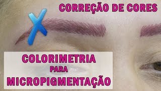 Colorimetria Para Micropigmentação  Correção de Cores Indesejadas  Vídeo 3 [upl. by Anialed601]