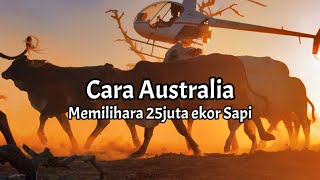 Beternak 25juta Sapi di Australia [upl. by Seow]