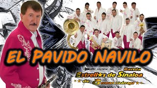 Banda Estrellas de Sinaloa de German Lizarraga  EL PAVIDO NAVIDO [upl. by Nilpik]