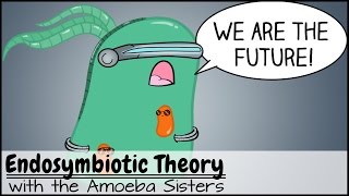 Endosymbiotic Theory [upl. by Latrena]