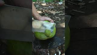 Slicing Green Coconut Very Fast [upl. by Boulanger786]