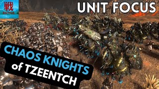 Chaos Knights of Tzeentch  Unit Focus [upl. by Upton596]