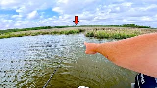 Catch MORE Saltwater Fish Using THIS Technique EASY Fishing [upl. by Biamonte967]