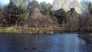 LAGO DE CASTIÑEIRAS  MARIN [upl. by Swann998]