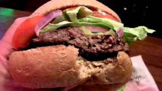 Fuddruckers Buffalo Burger Review [upl. by Aenyl]