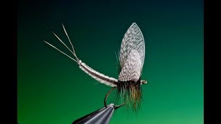 Fly Tying extended mayfly dry fly body tutorial with Barry Ord Clarke [upl. by Becki]