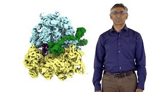 Ramanujan Hegde MRC 3 Recognition of Protein Localization Signals [upl. by Karl]