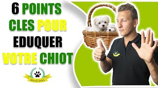 Comment éduquer un chiot facilement  EDUC DOG [upl. by Rebmyk]