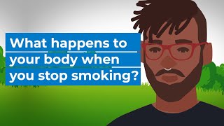 What Happens When You Stop Smoking  Benefits of Quitting Smoking  MedBoard [upl. by Llenahs360]