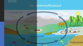 Der Kohlenstoffkreislauf einfach erklärt [upl. by Enyal]