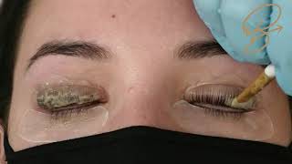 Lash Lift amp Tint service in only 30 mins Bee Pampered Accelerated Lash Lift amp Tint Training Video [upl. by Crockett]