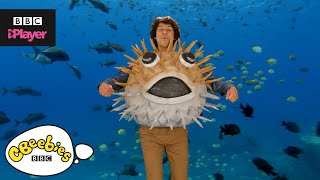 Andys Aquatic Raps  Fish Fiesta  CBeebies [upl. by Hcahsem]