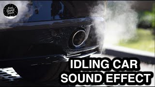 Idling Car Sound Effect [upl. by Querida37]