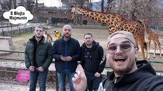 I takova shoket e ngushte ne Kopshtin ZOOLOGJIK [upl. by Aremaj]