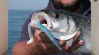 Red Gill Evolution Weighted Lures  Video Review [upl. by Rento]