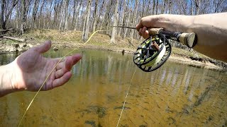 Pike on the Fly  Fishing CLEAR Shallow rivers [upl. by Oirevlis]