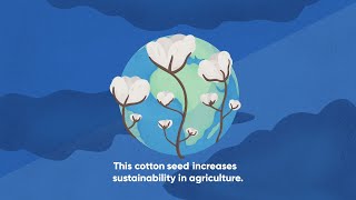 Smarter Cotton Seeds [upl. by Renato]