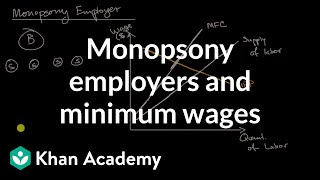 Monopsony employers and minimum wages [upl. by Llenor]