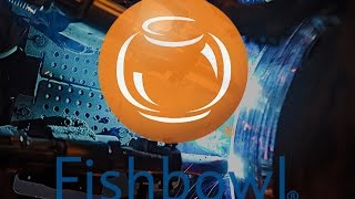 Fishbowl Overview Demo [upl. by Vanya]