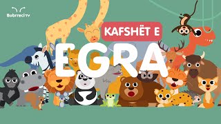 🐘 Kafshët e Egra për Fëmijë 🦧 Këngë Shqip për Fëmijë 🦁 Bubrreci TV kafshët kengeperfemije [upl. by Nomzed744]